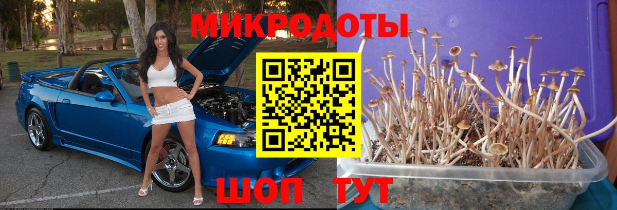 Оренбург  Галлюциногенные грибы Magic Shrooms  Вход с VPN 